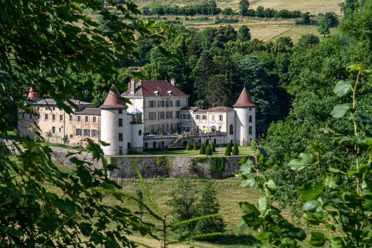 Chateau De Pramenoux Lamure-sur-Azergues 外观 照片