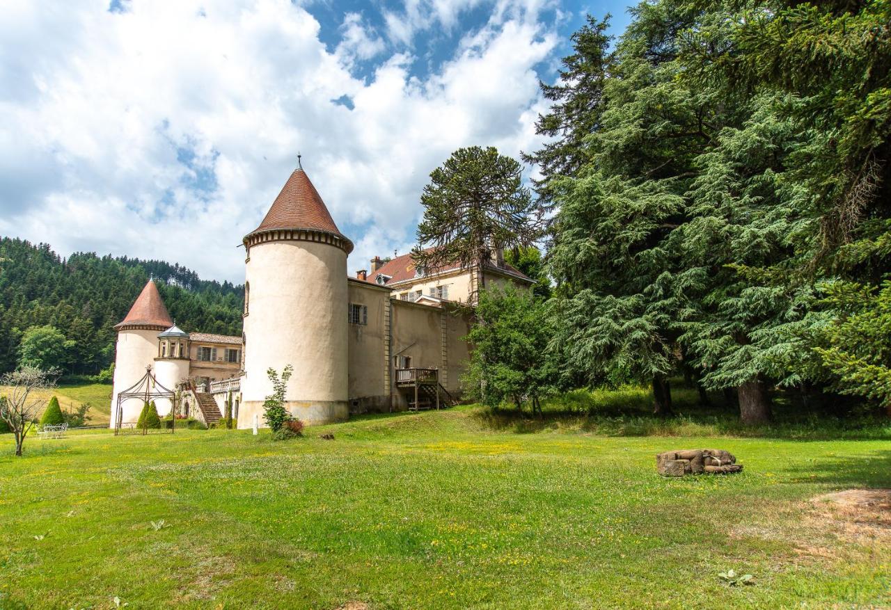 Chateau De Pramenoux Lamure-sur-Azergues 外观 照片