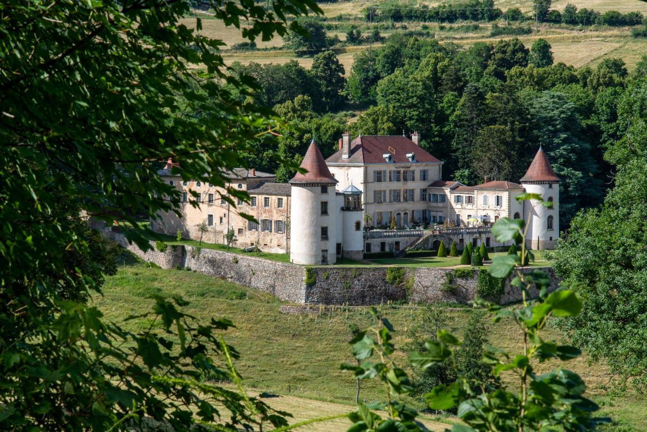 Chateau De Pramenoux Lamure-sur-Azergues 外观 照片