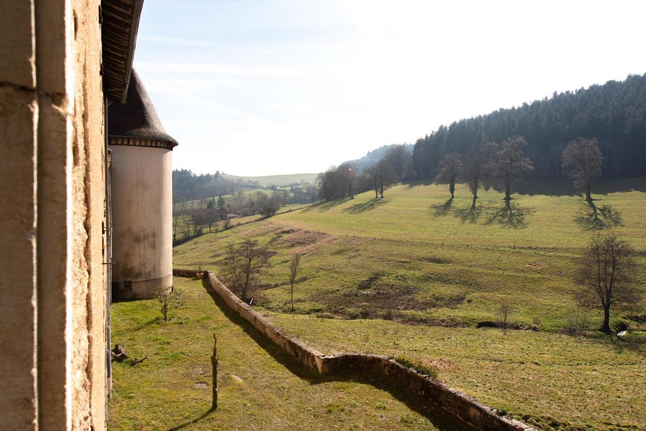 Chateau De Pramenoux Lamure-sur-Azergues 外观 照片